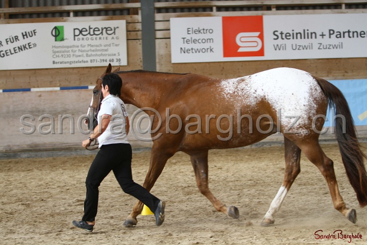 24-ApHC HIH_068.jpg